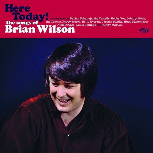 VARIOUS ARTISTS - HERE TODAY: SONGS OF BRIAN WILSON (VINYL)