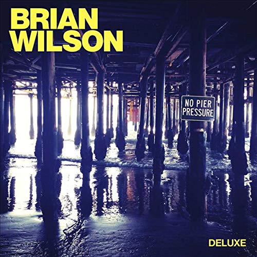 WILSON, BRIAN - NO PIER PRESSURE (2LP VINYL)