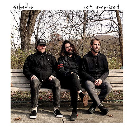 SEBADOH - ACT SURPRISED (1 LP)