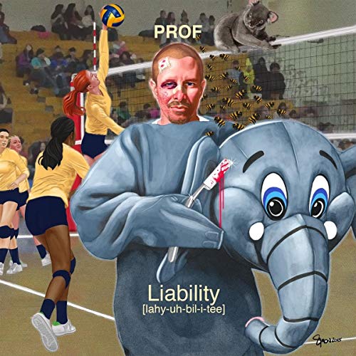 PROF - LIABILITY (2LP)