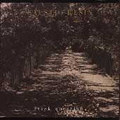 CAUSTIC RESIN - TRICK QUESTION (CD)