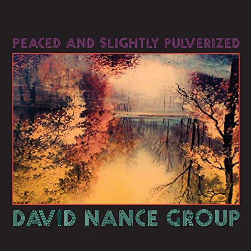 NANCE,DAVID GROUP - PEACED AND SLIGHTLY PULVERIZED (VINYL)