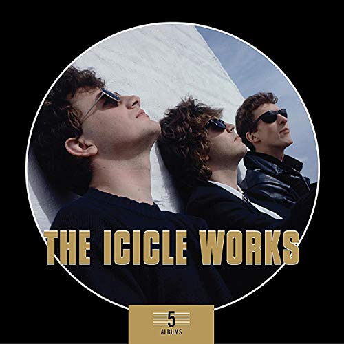 ICICLE WORKS - 5 ALBUMS (CLAMSHELL BOX SET WITH EACH INDIVIDUAL ALBUM IN A VINYL REPLICA WALLET) (CD)