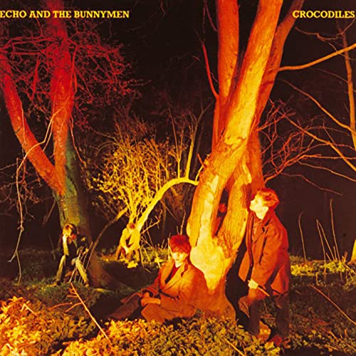 ECHO & THE BUNNYMEN - CROCODILES (VINYL)