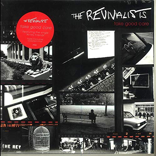 THE REVIVALISTS - TAKE GOOD CARE (VINYL)