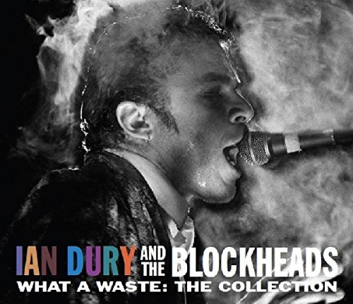 DURY,IAN & THE BLOCKHEADS - WHAT A WASTE: COLLECTION (CD)