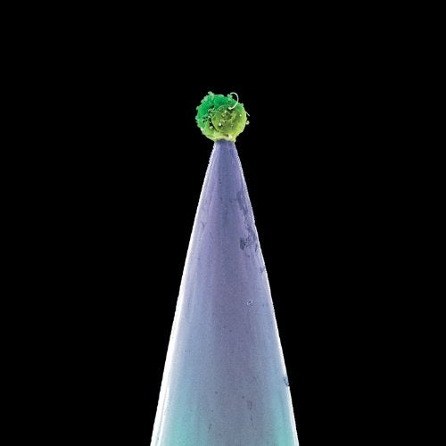 PETER GABRIEL - NEW BLOOD (CD)