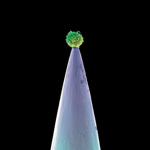 PETER GABRIEL - NEW BLOOD (CD)