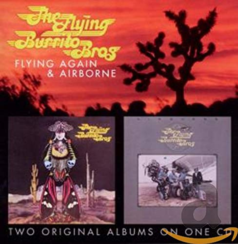 FLYING AGAIN/AIRBORNE (CD)