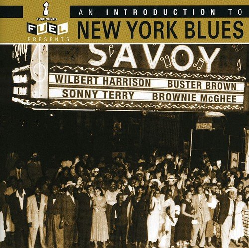 VARIOUS ARTISTS - INTRO TO NEW YORK BLUES (CD)