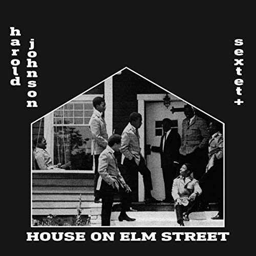 HAROLD JOHNSON - HOUSE ON ELM STREET (VINYL)