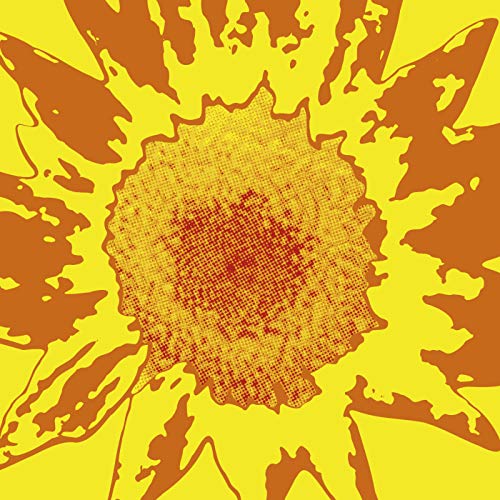 ONEIDA - EACH ONE TEACH ONE (REISSUE) (VINYL)