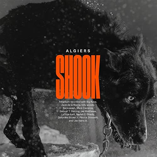 SHOOK (2LP)