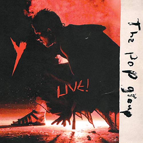 POP GROUP - Y LIVE (VINYL)