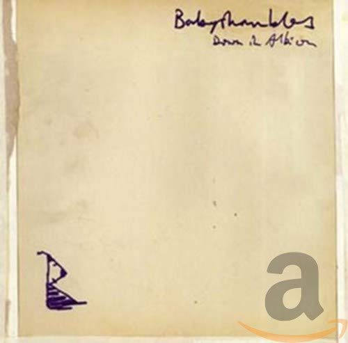 BABYSHAMBLES - DOWN IN ALBION (CD)
