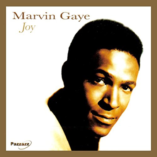 GAYE, MARVIN - JOY (CD)