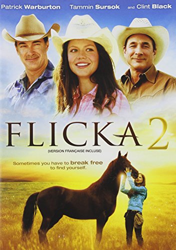 FLICKA 2