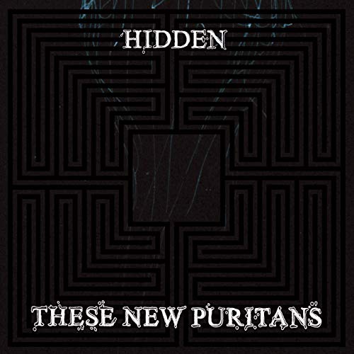 THESE NEW PURITANS - HIDDEN (VINYL)