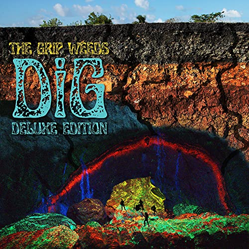 THE GRIP WEEDS - DIG (VINYL)