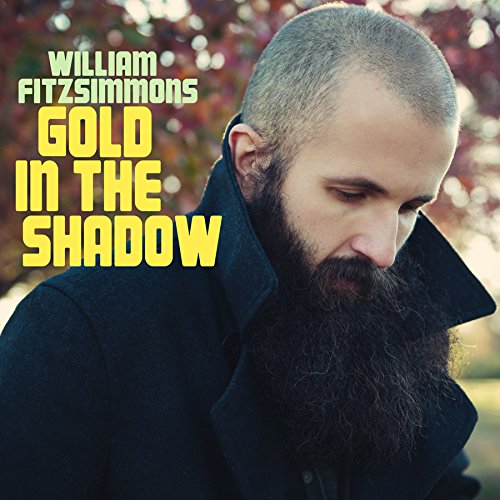FITZSIMMONS, WILLIAM - GOLD IN THE SHADOW (CD)