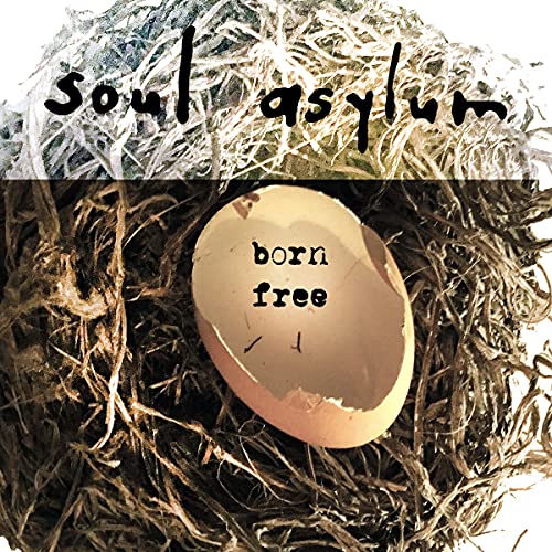 SOUL ASYLUM - BORN FREE (VINYL)