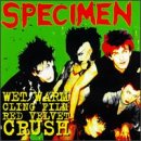 SPECIMEN - WARM WET CLING - FILM RED VELVET CRUSH (CD)