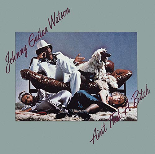 JOHNNY "GUITAR" WATSON - AIN'T THAT A BITCH (CD)