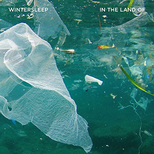 WINTERSLEEP - IN THE LAND OF (CD)
