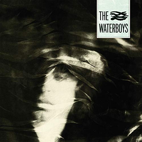 THE WATERBOYS - A PAGAN PLACE (VINYL)