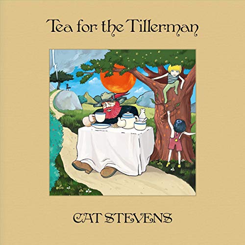 YUSUF / CAT STEVENS - TEA FOR THE TILLERMAN (DELUXE 2CD) (CD)