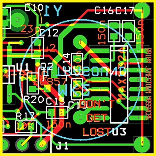 BRIAN JONESTOWN MASSACRE - DON'T GET LOST (VINYL)