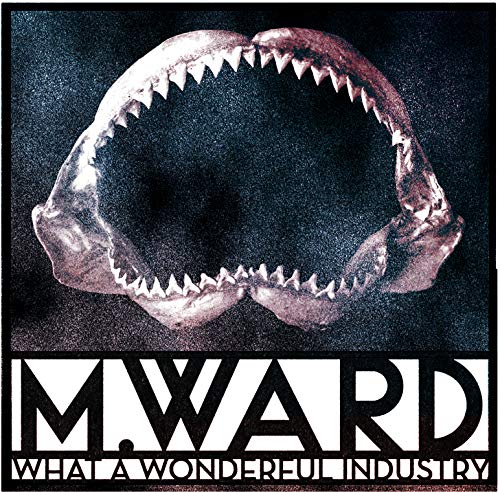 M. WARD - WHAT A WONDERFUL INDUSTRY (CD)