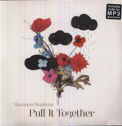 SHANNON STEPHENS - PUT IT TOGETHER (VINYL)