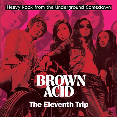 VARIOUS ARTISTS - BROWN ACID - THE ELEVENTH TRIP / VARIOUS (VINYL)
