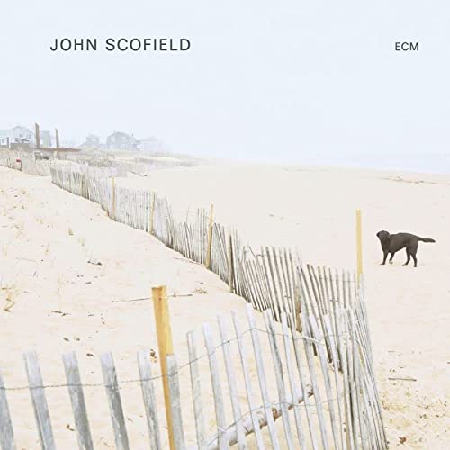 JOHN SCOFIELD - JOHN SCOFIELD (VINYL)