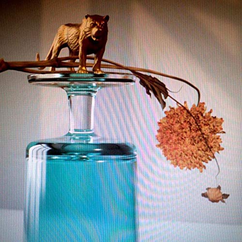 BEIRUT - GALLIPOLI LP + DOWNLOAD