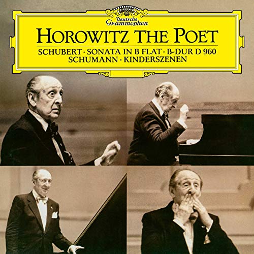 HOROWITZ, VLADIMIR - HOROWITZ THE POET (VINYL)