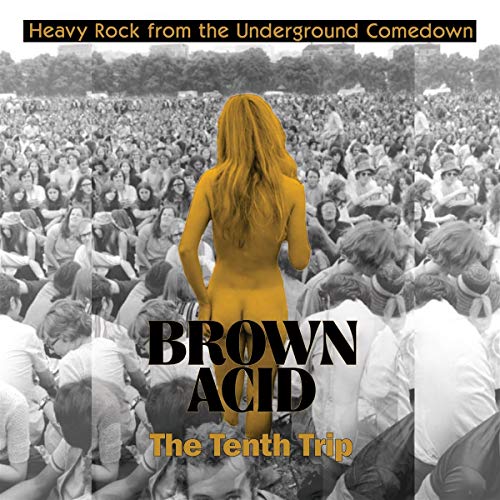 VARIOUS ARTISTS - BROWN ACID - THE TENTH TRIP / VARIOUS (VINYL)