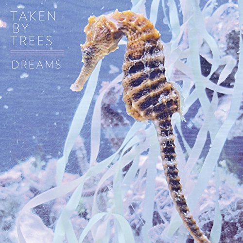 TAKEN BY TREES - DREAMS (VINYL)