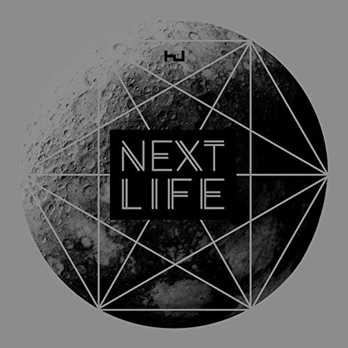 VARIOUS ARTISTS - NEXT LIFE / VARIOUS (VINYL)