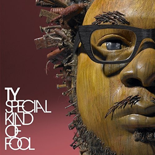 TY - SPECIAL KIND OF FOOL (CD)