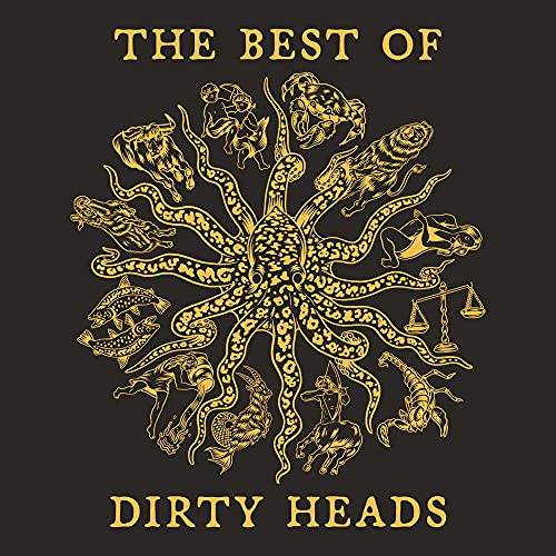 DIRTY HEADS - THE BEST OF DIRTY HEADS - FOOLS GOLD (VINYL)