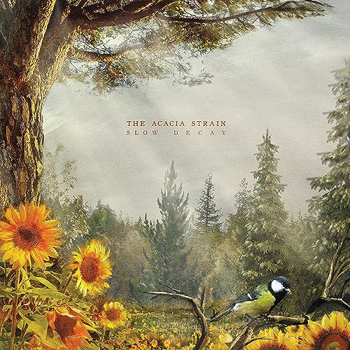 THE ACACIA STRAIN - SLOW DECAY (VINYL)