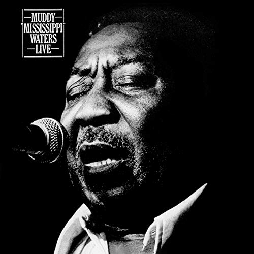 MUDDY WATERS - MUDDY MISSISSIPPI WATERS (CD)