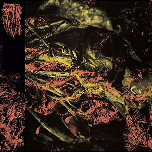 HISSING - PERMANENT DESTITUTION (CD)