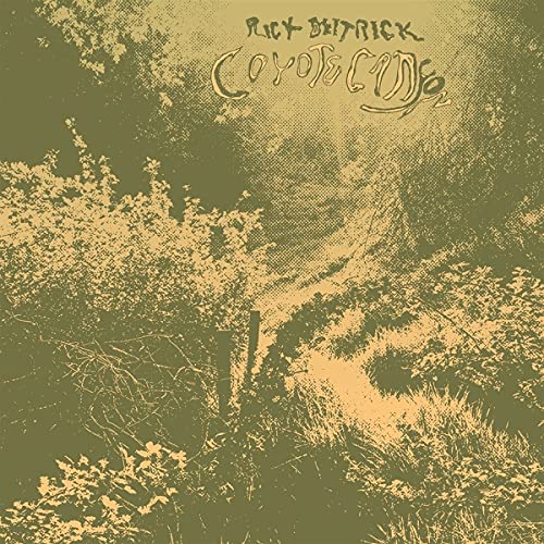RICK DEITRICK - COYOTE CANYON (LP) (VINYL)