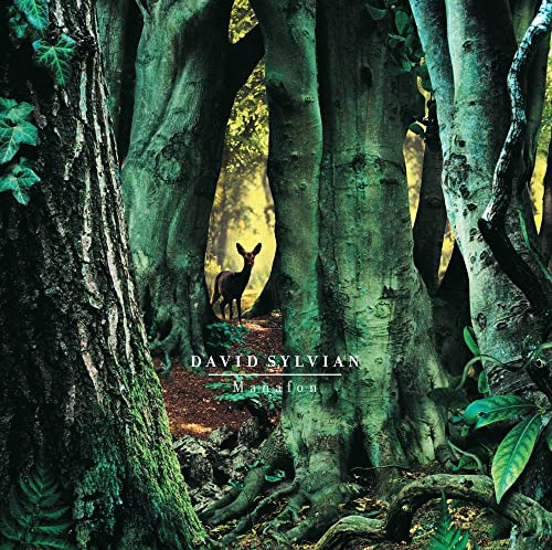 DAVID SYLVIAN - MANAFON (VINYL)