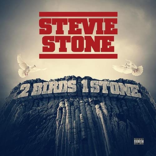 STONE,STEVIE - 2 BIRDS 1 STONE (CD)