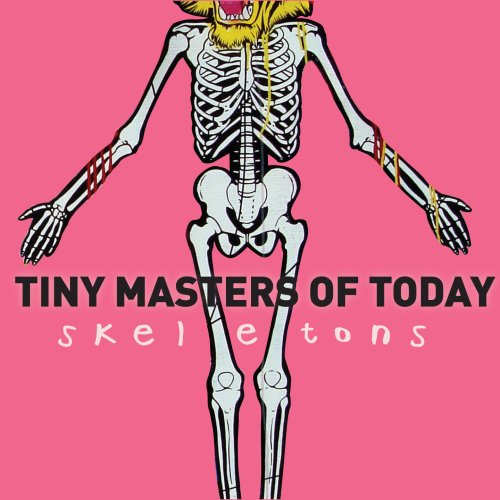 TINY MASTERS OF TODAY - SKELETONS (CD)