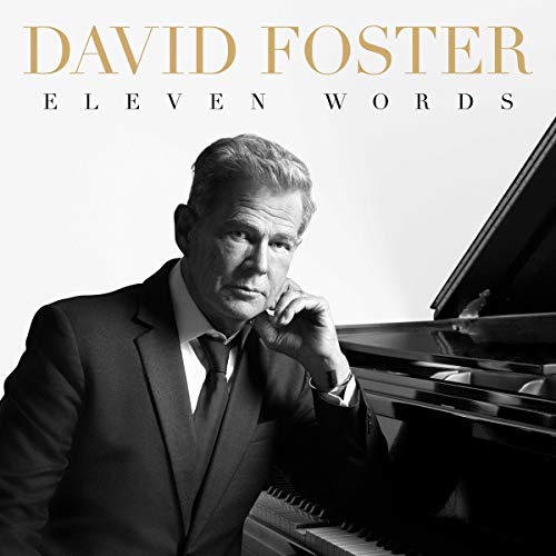 FOSTER DAVID - ELEVEN WORDS (CD)